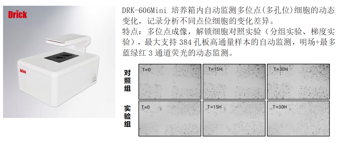 1747295481172480.png 13.png